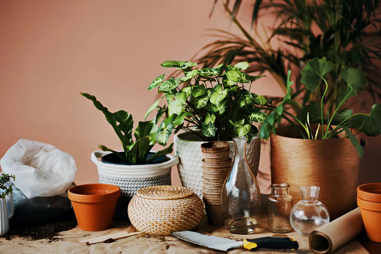 Indoor vs. Outdoor Garden Planters
