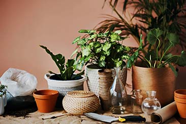 Indoor vs. Outdoor Garden Planters