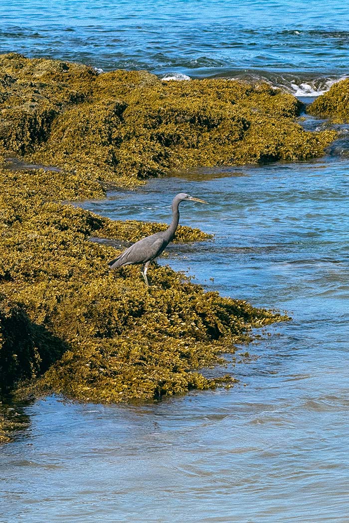 Iniala Beach House Thailand