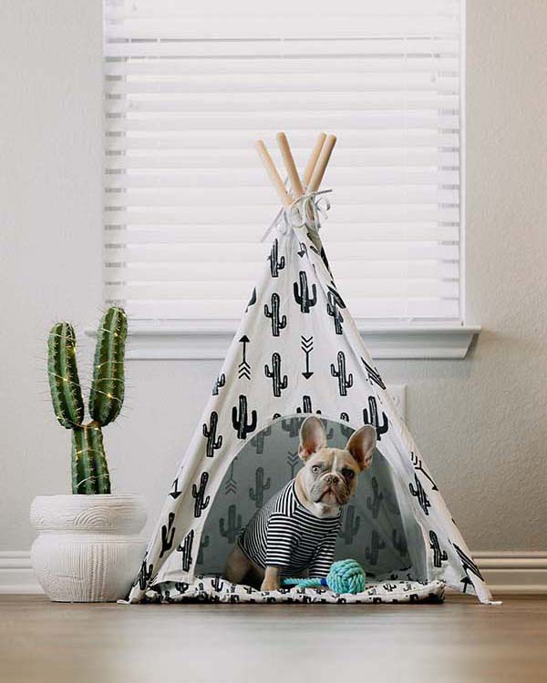 Amazing Interior Design Ideas for Your Pets' New Home