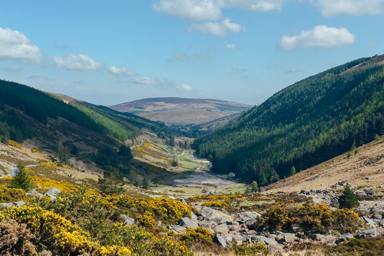 A South East Coast of Ireland Weekender