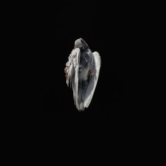 Jeremy Geddes, Exhale