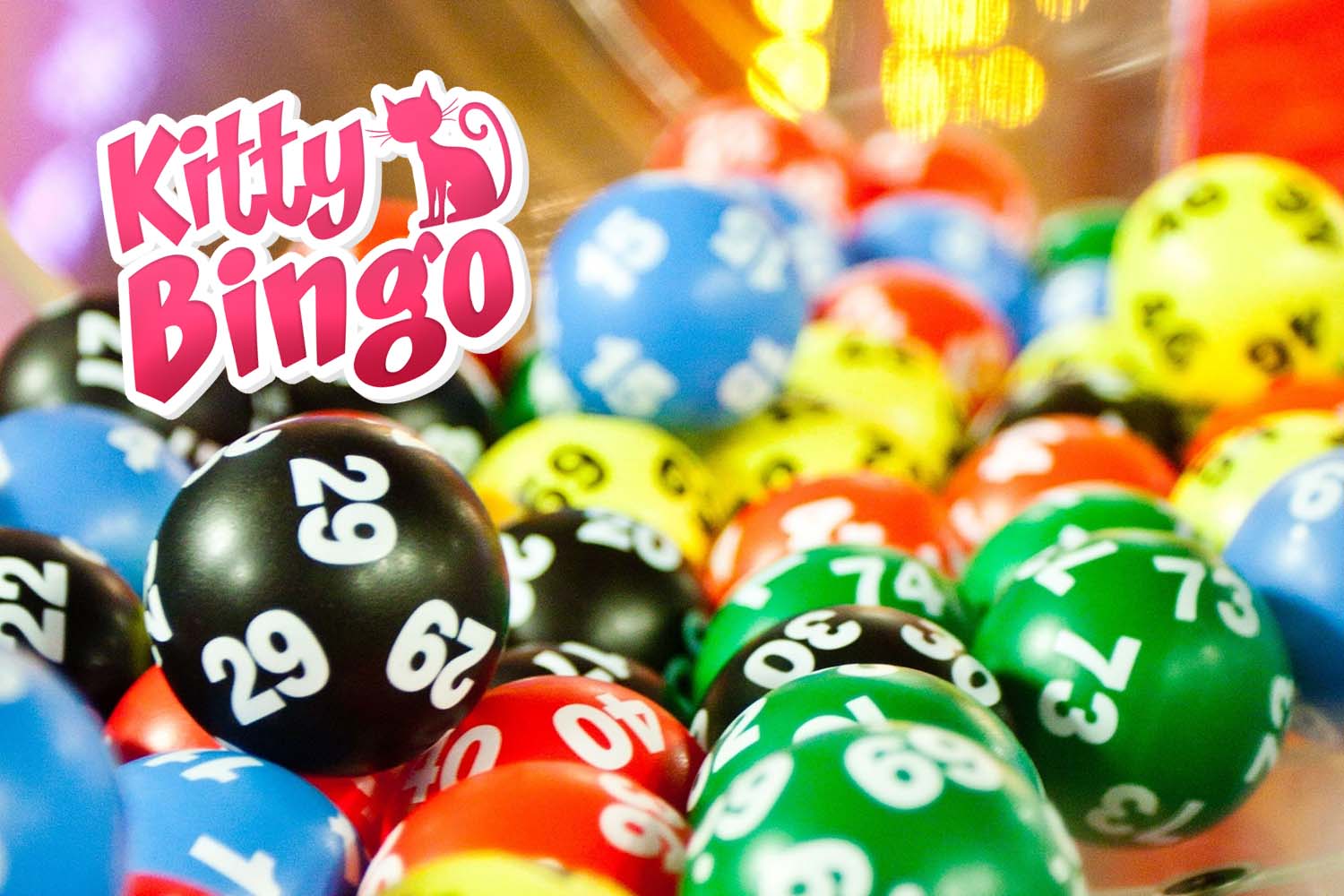 Kitty Bingo Review for United Kingdom Players: Pros, Cons, and More