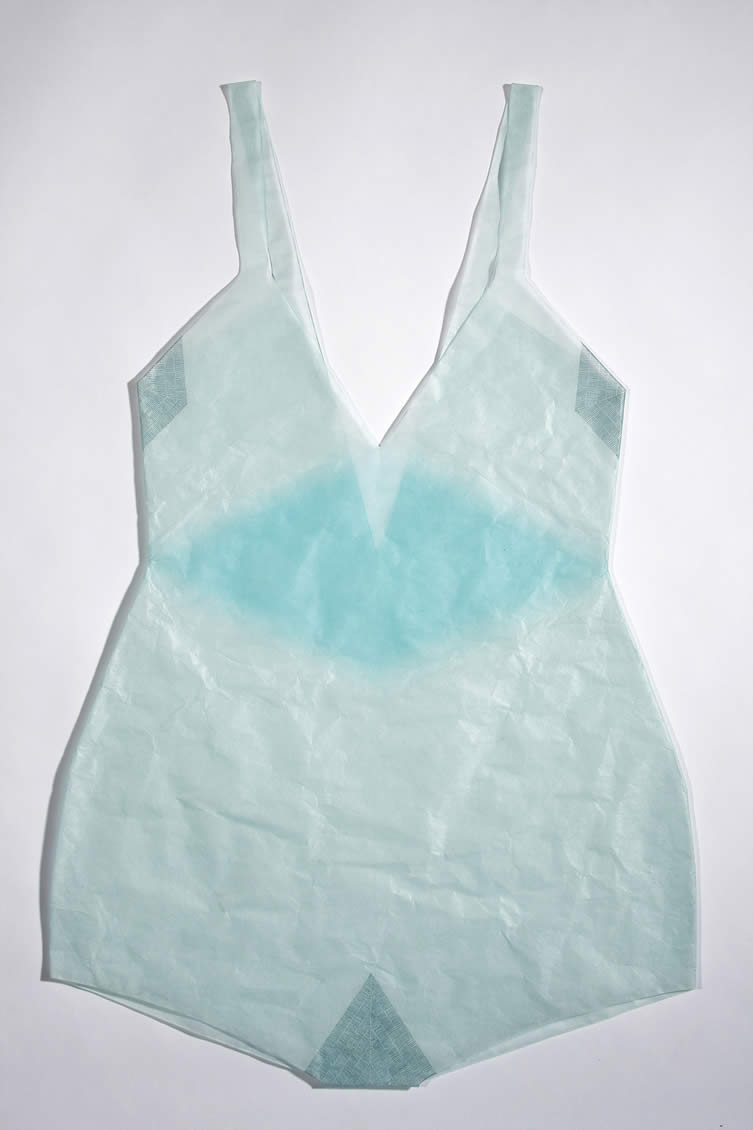 Aqua Diamond Deep V Sheer Suit, 2013