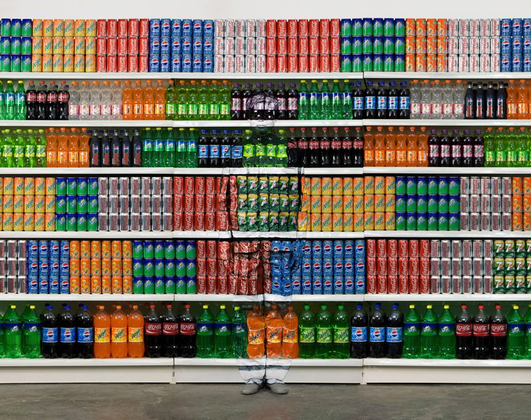 Liu Bolin at Galerie Paris-Beijing