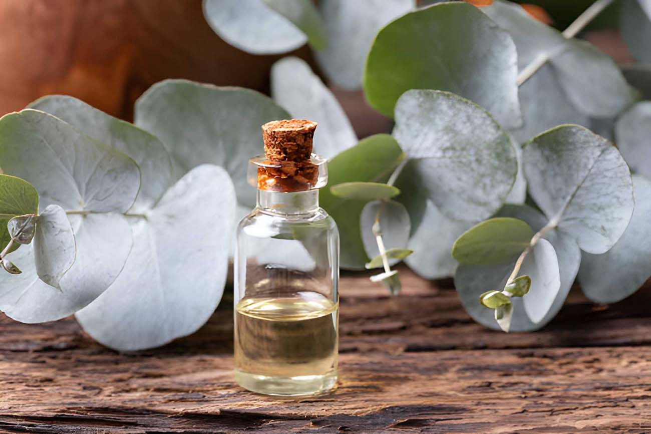 Eucalyptus Oil – offers pest deterrent with antibacterial properties