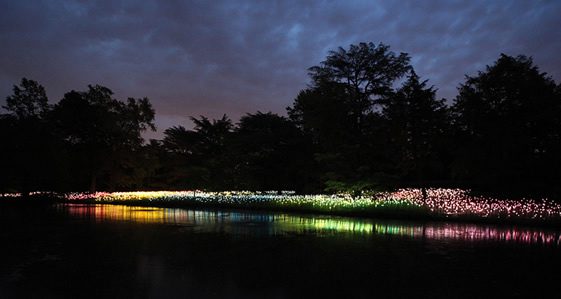 Bruce Munro at Longwood Gardens