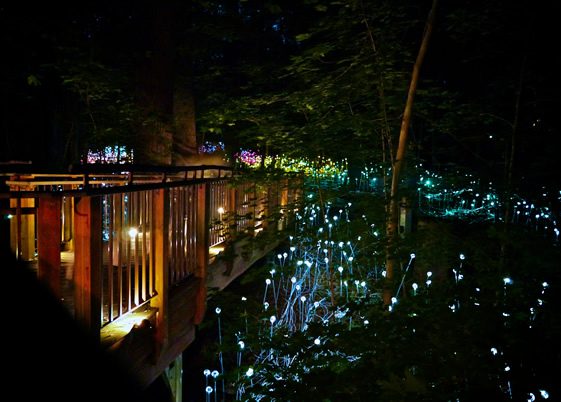 Bruce Munro at Longwood Gardens