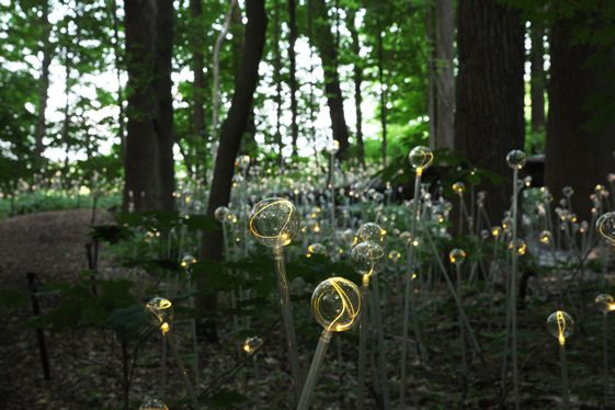 Bruce Munro at Longwood Gardens