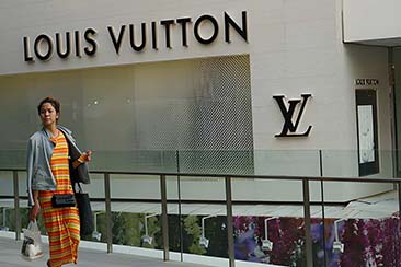 Louis Vuitton Authentication Guide
