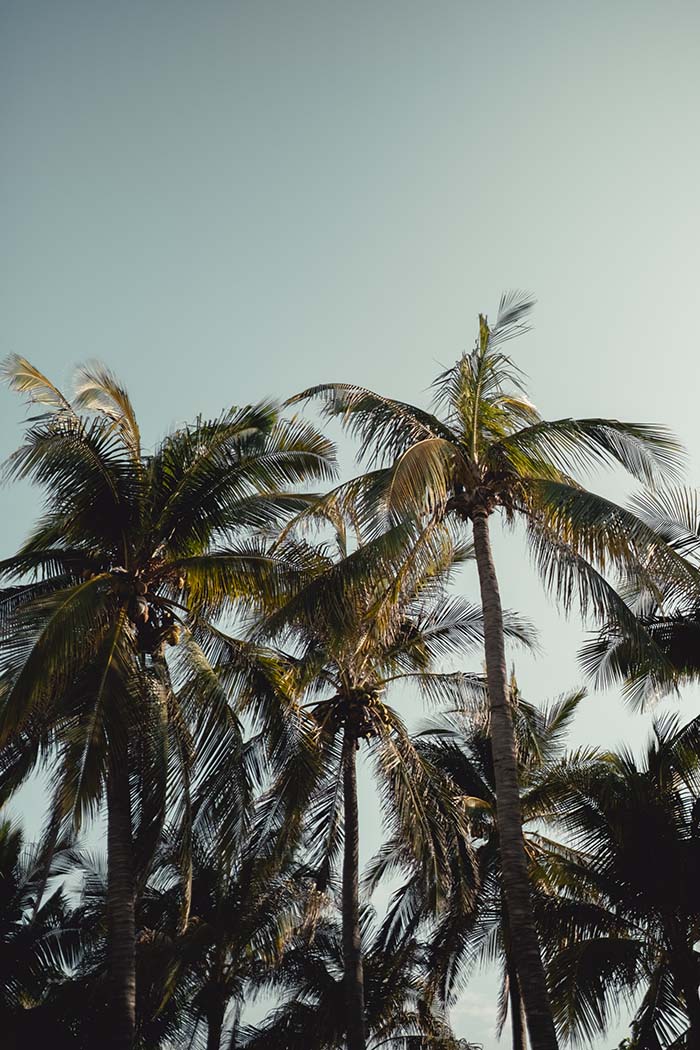 Puerto Escondido Boutique Hotel Designed by Miguel Ángel Ramos