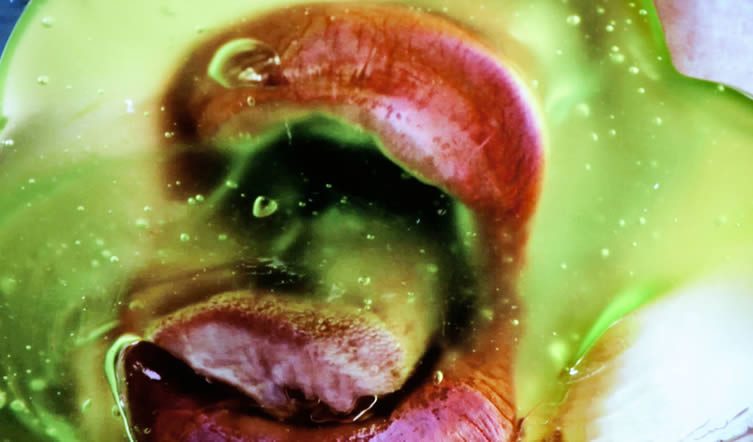 Marilyn Minter, Green Pink Caviar