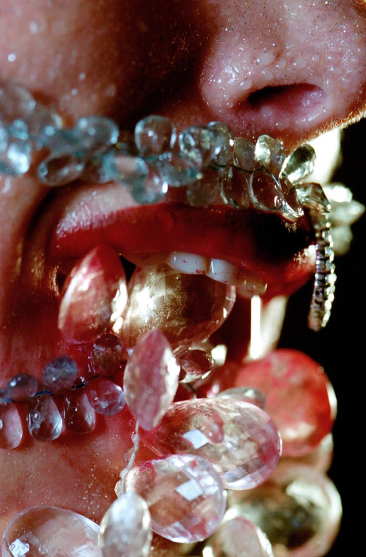 Marilyn Minter, Vampire