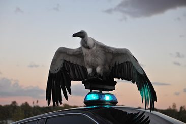 Matthew Barney — River of Fundament