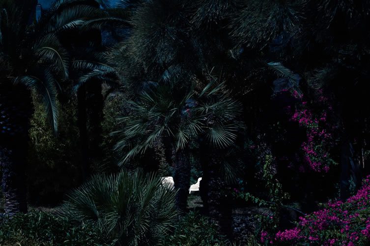 Maxime Fauconnier Interview
