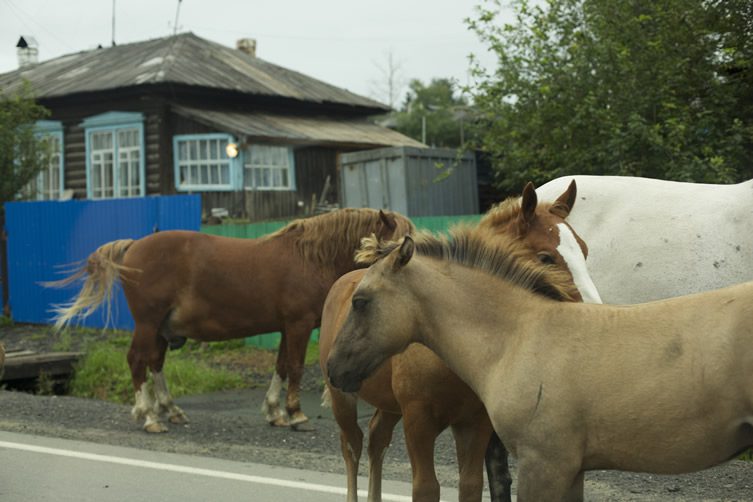 Mazda Route 3, Day One: Blagoveshchensk to Skovorodino