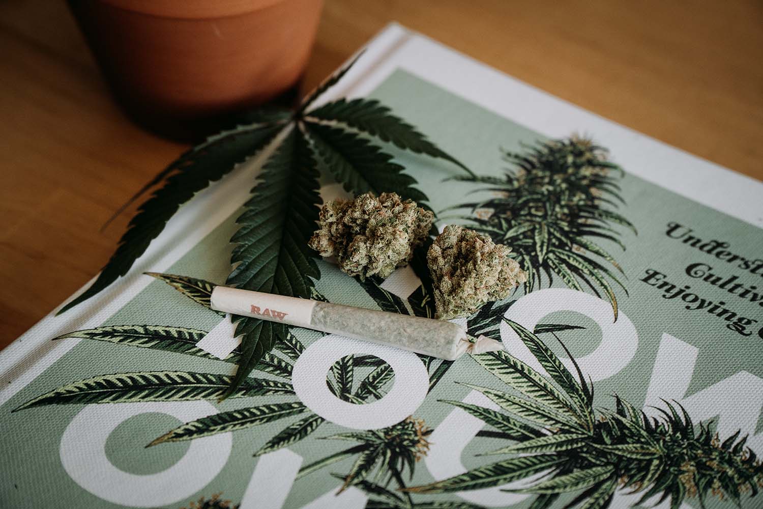 Finding Medical Cannabis in South Dakota