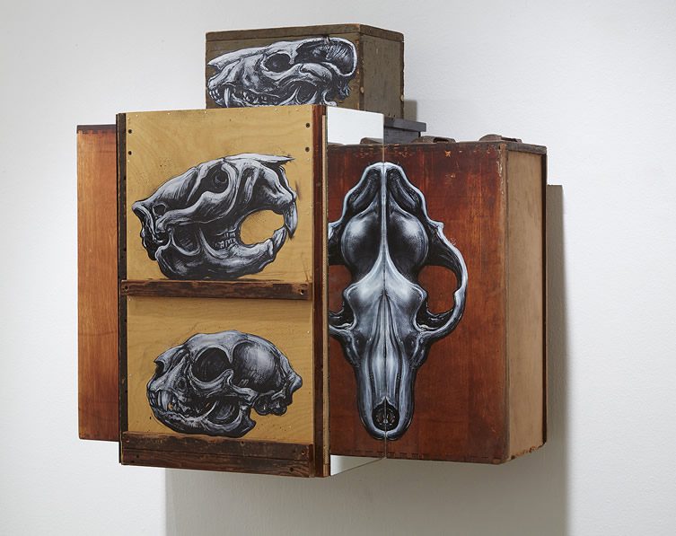 ROA Metazoa at Jonathan LeVine Gallery, New York