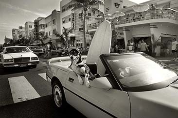 Barry Lewis, Miami Beach 1988—1995