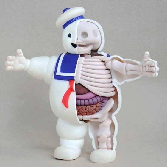 Jason Freeny’s Anatomical Sculptures