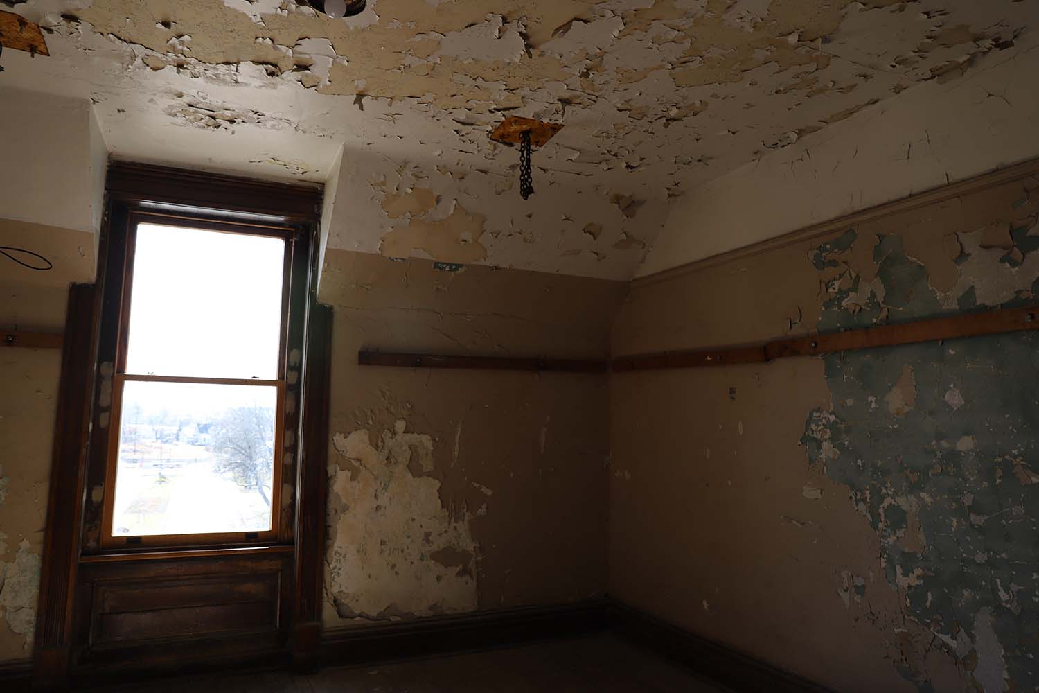 Mold Problems in Your Home or Building