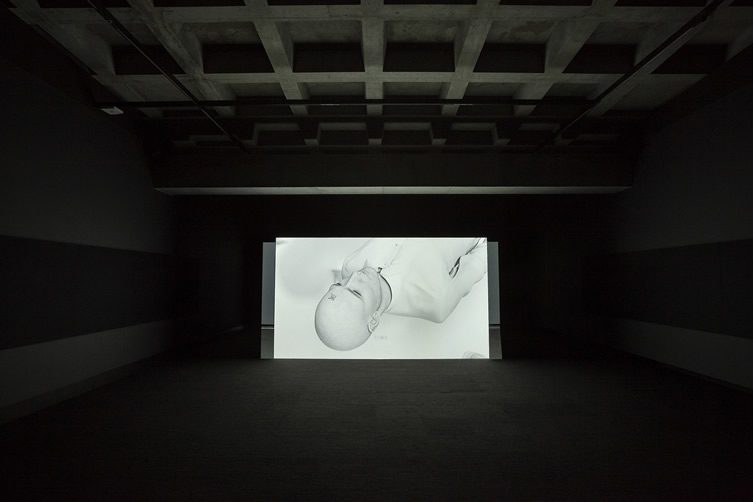 MONA Biennale of Moving Images, Hobart 2015