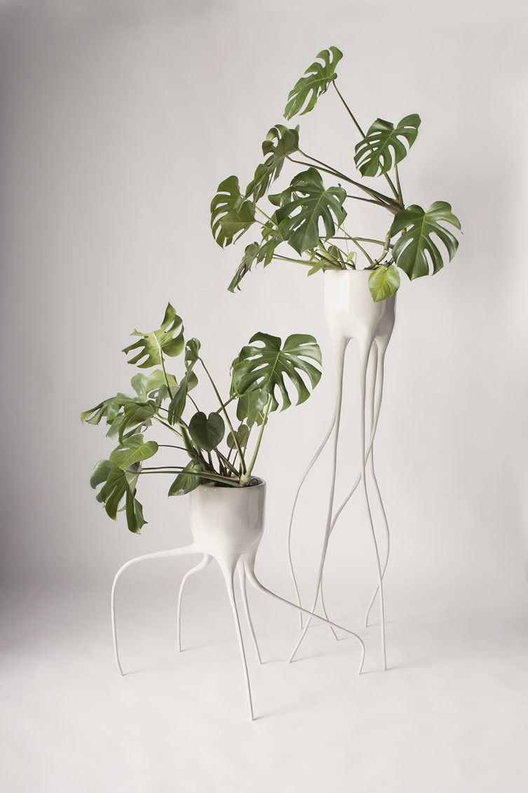 Tim van de Weerd — Monstera