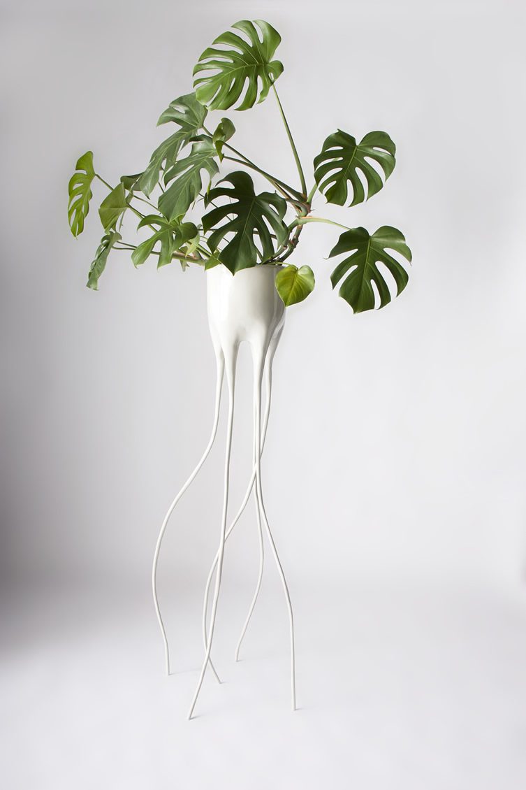 Tim van de Weerd — Monstera