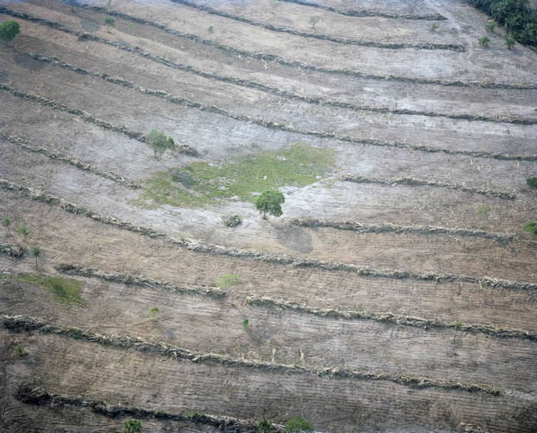 Deforestation, Tangará da Serra, Mato Grosso state, Brazil