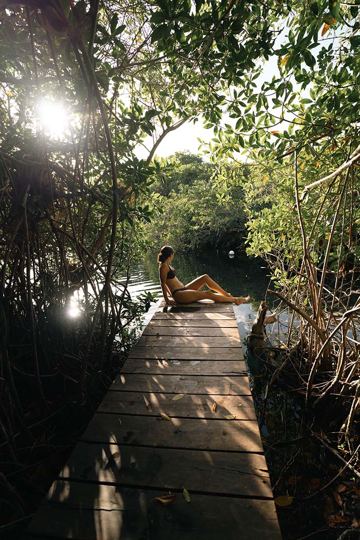 Riviera Maya Design Hotel