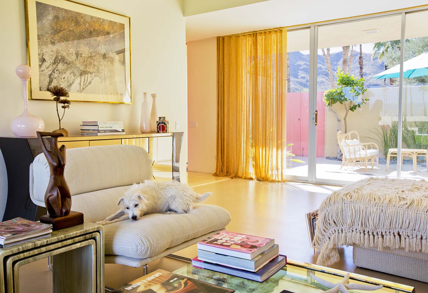 Nancy Baron, Palm Springs: Modern Dogs at Home