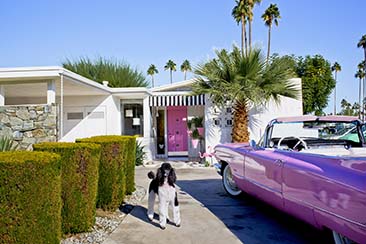 Nancy Baron, Palm Springs: Modern Dogs at Home