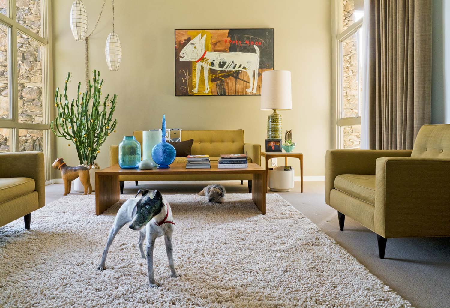 Nancy Baron, Palm Springs: Modern Dogs at Home