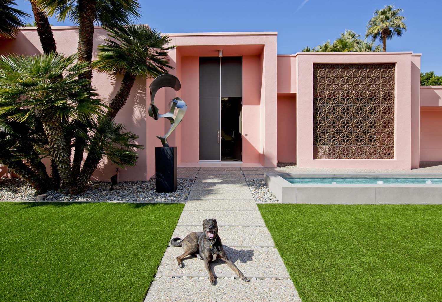 Nancy Baron, Palm Springs: Modern Dogs at Home