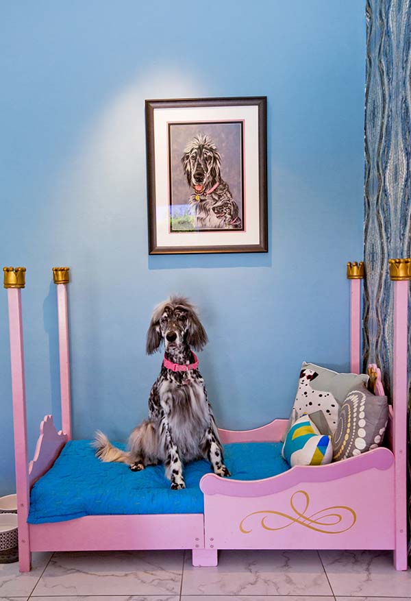 Nancy Baron, Palm Springs: Modern Dogs at Home Published by Schiffer Publishing