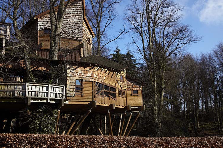 The Alnwick Garden Treehouse