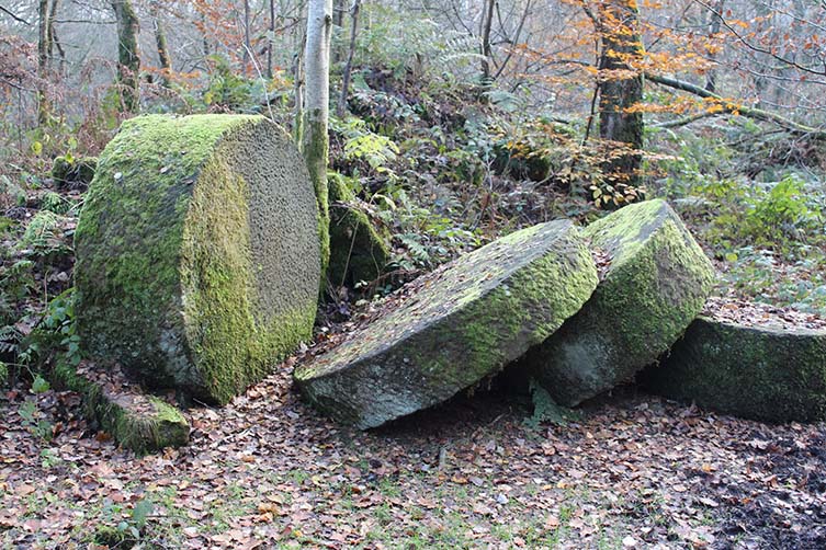 Stanton Moor Forest, England