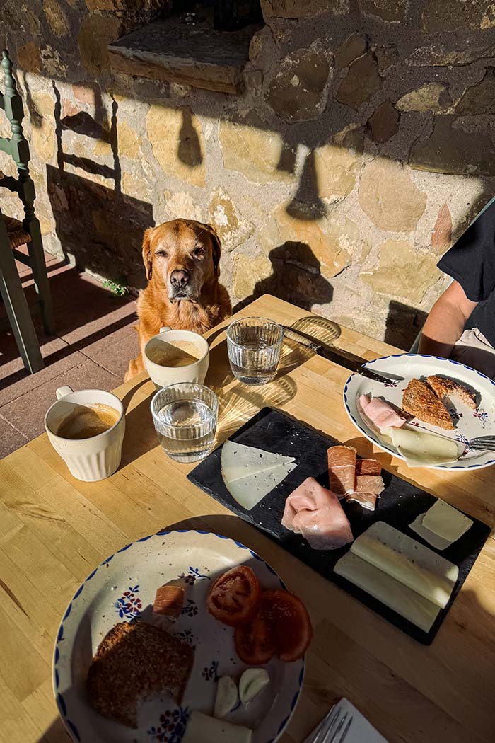 La Garrotxa Slow Travel Retreat