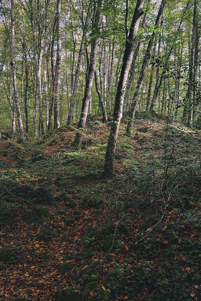 La Garrotxa Slow Travel Retreat