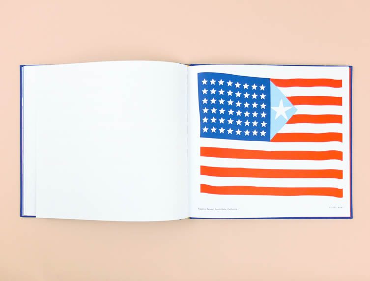 Old Glory, Alternative Designs for the American Flag