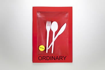 Ordinary magazine