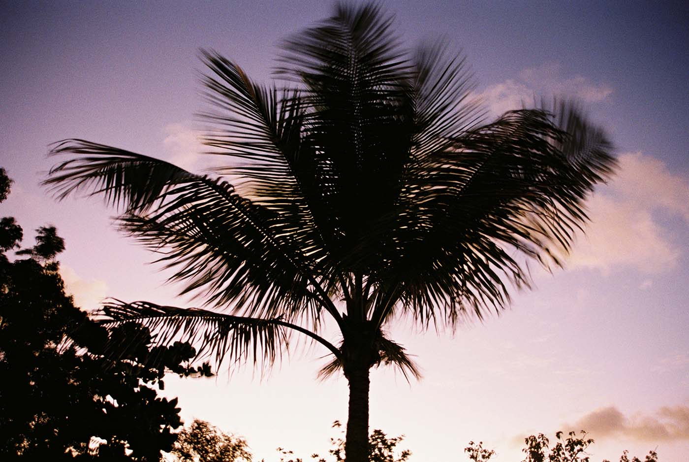 Pablo Saint-Barth, Gustavia Bar and Restaurant by Indie Group