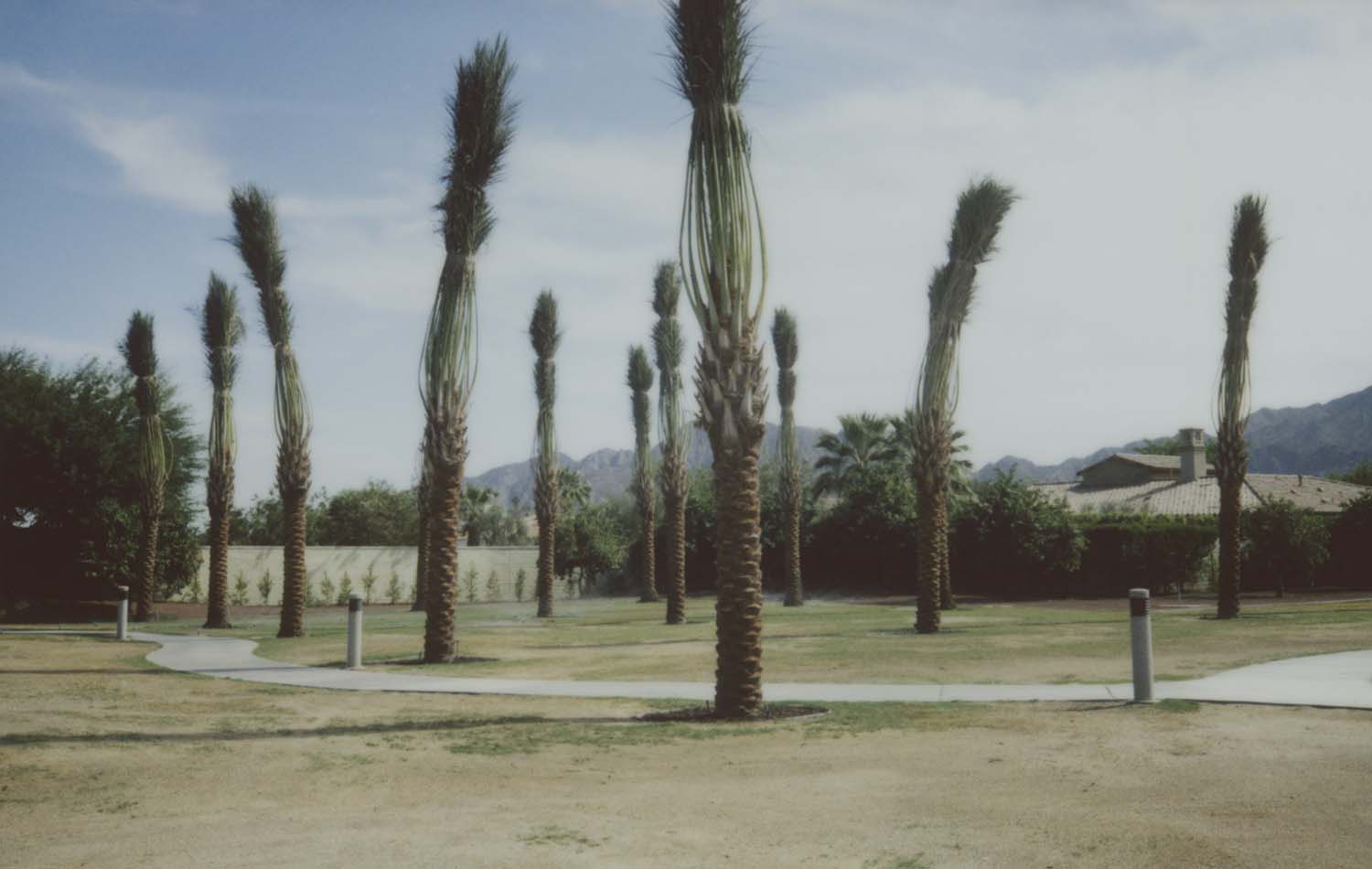 John Brian King, Riviera: Photographs of Palm Springs Published by Spurl Editions