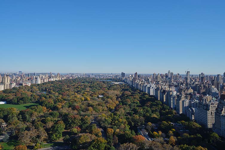 Luxury Hotel Central Park