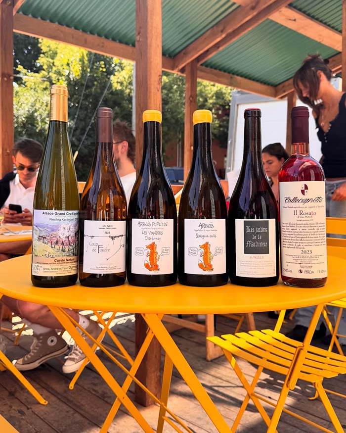 Little Italy Pasta Restaurant and Natural Wine by Finkel