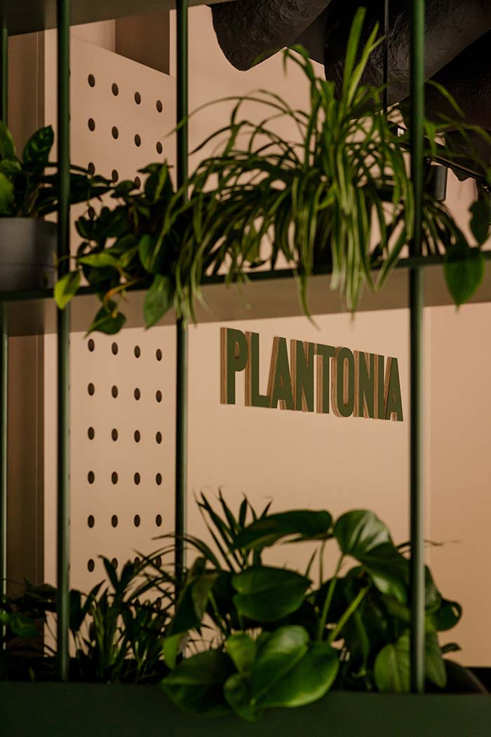 Plantonia Krakow