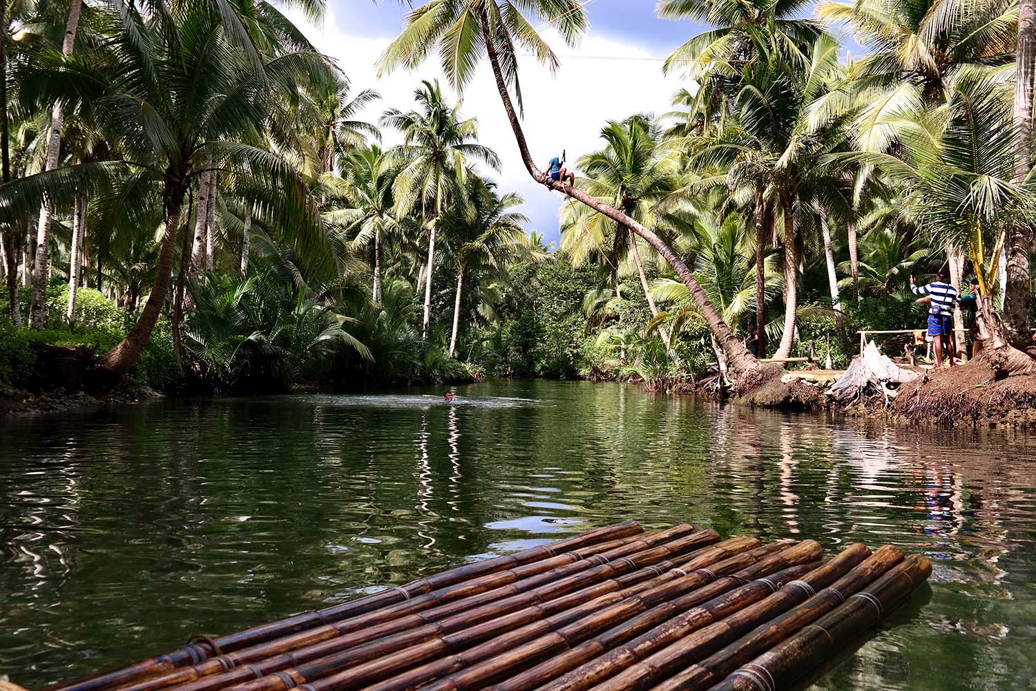 The Most Beautiful Plants and Animals of the Philippines