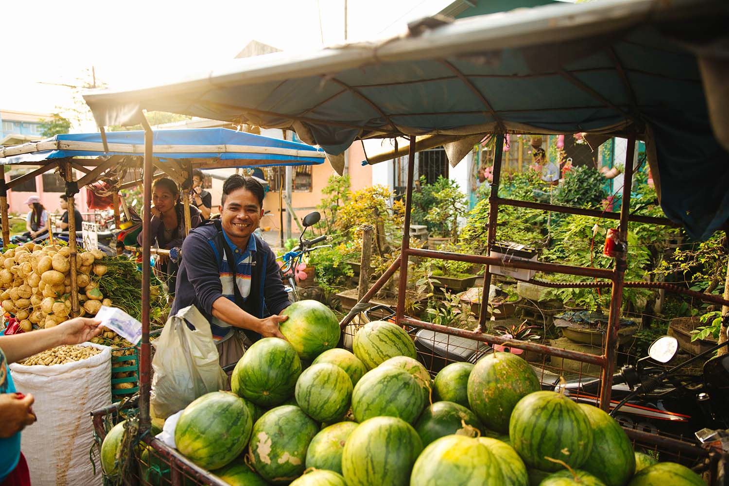 The Most Beautiful Plants and Animals of the Philippines