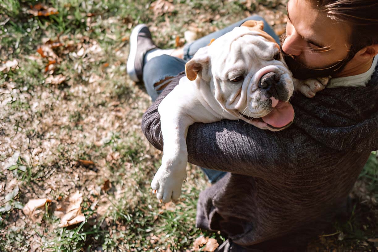 Probiotic Chews and Your Dog’s Gut and Immunity