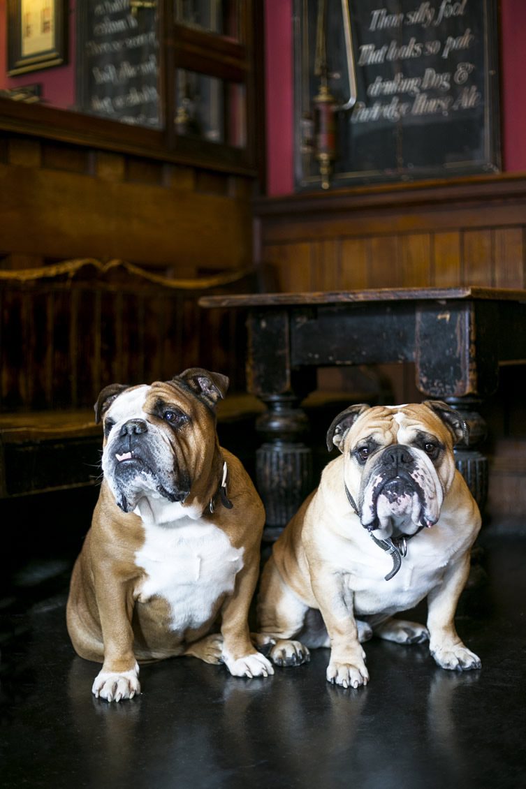 Pub Dogs of Manchester Launch Night